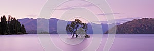 That Wanaka Tree, Wanaka, New Zealand, Tree In Lake, Sky And Clouds Sunrise, Beautiful Landscape Background, Wanaka Tre