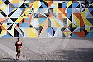 Mural Hornet in Duesseldorf, Germany, Europe