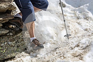 Wanderer at a Glacier