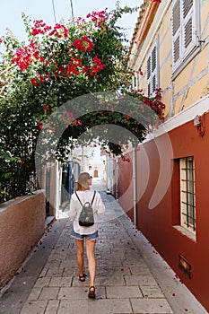 Wandering Through Blooming Alleyways