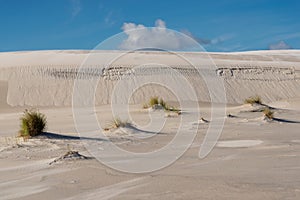 Wandering dune near Leba, Poland