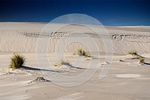 Wandering dune in Slowinski National Park