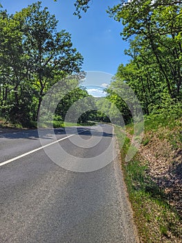 Wanderings on the road