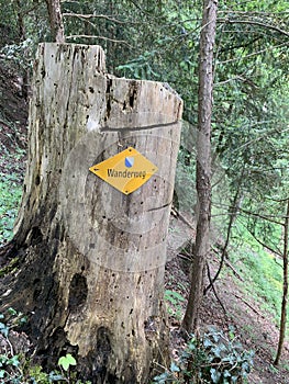 Wanderweg sign in yellow close to Zurich, Switzerland. Official hiking path indication photo