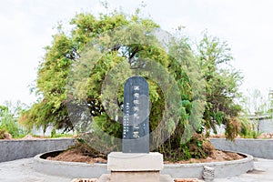 Wang Yun Tomb. a famous historic site in Taigu, Jinzhong, Shanxi, China.