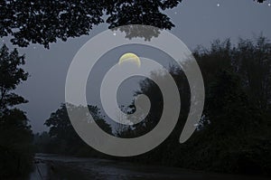 Waning moon over forest in early morning