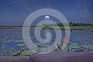 Waning moon over the water in the lake