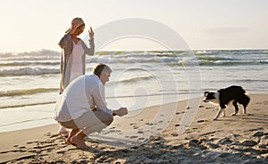 Wanna come fetch this ball. Full length shot of an affectionate senior couple playing with their dog at the beach.