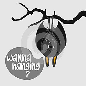 Wanna hanging?  Cute bat. Halloween overlays, lettering labels design