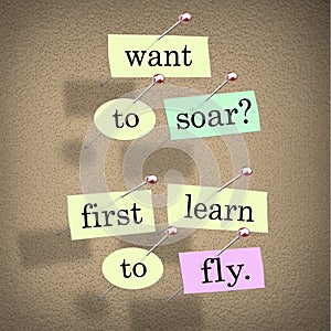 Want to Soar First Learn to Fly Words Saying Quote photo