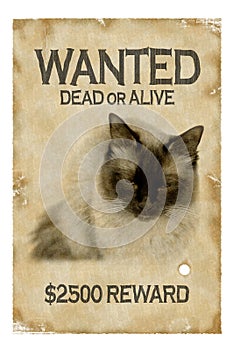 Wanted