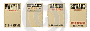 Wanted dead or alive blank poster template