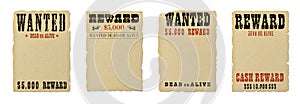Wanted dead or alive blank poster template photo