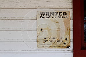 Wanted Dead or Alive Reward Poster.