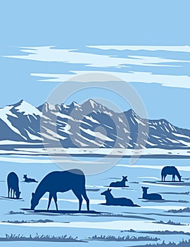 Wapiti at the National Elk Refuge in Jackson Hole in Wyoming USA WPA Art Poster