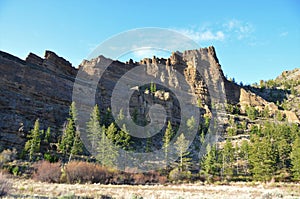 Wapiti Wyoming Shosone National Forest