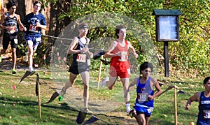 Group of Boys Participating in a Cross Country Racing Event