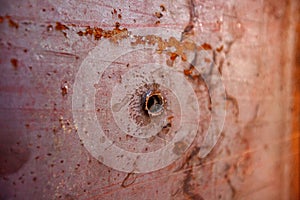 A bullet hole, War actions aftermath, Ukraine and Donbass conflict photo