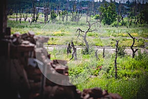 War, view from ruins in Donbass photo