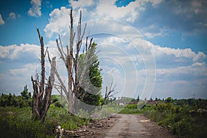 War, Airport ruins in Donbass, damaged trees photo