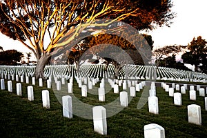 War cemetery with rows of white marble graves on green grass at sunset with ocean view. Marine veteran's cemetery