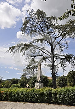War Memorial Obelisk of the Medieval San Gimignano hilltop town. Tuscany region. Italy photo
