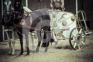 War, Roman chariot in a fight of gladiators, bloody circus