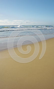 Warana Beach Looking Out at Sea portrait View