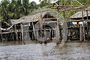 Warao`s House, Idians Living in Orinoco Delta in Venezuela