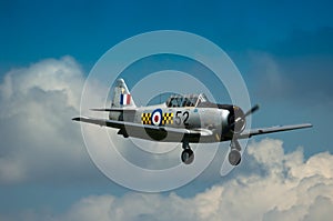 Warbirds - Harvard in flight