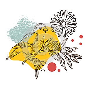 WARBLER ON FLOWER Collage Sketched Bird Packaging Vector