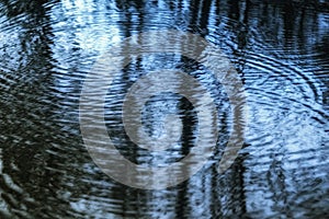 `Ward of the Rings` moody reflections in the lake late evening