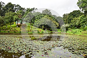 Wards Lake, Shillong