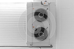 Warehouse freezer, Cold storage. Warehouse freezer, Cold storage.