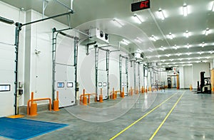 Warehouse freezer Logistics storage, loading and shipment