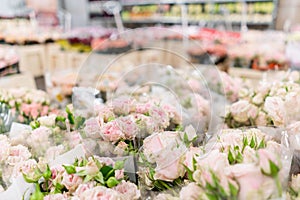 Warehouse refrigerator, Wholesale flowers for flower shops. Pink roses in a plastic container or bucket. Online store