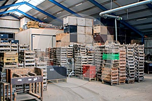 The warehouse with sorting machines and the storage of a bulb grower.