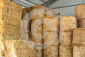 Warehouse with straw bales. Stacked Straw Hay Bales