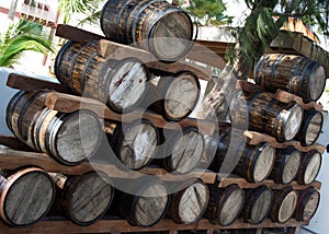Warehouse wine barrels