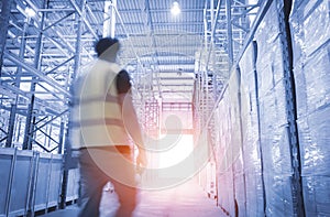 Warehouse Worker is Working in Storage Warehouse. Warehouse Inventory Management.