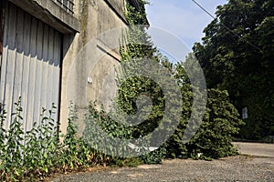 Warehouse and yard in front of it next to railroad tracks on a sunny day in an italian town