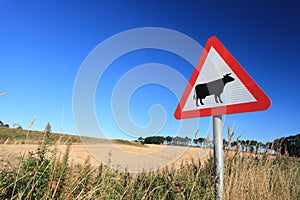 Waring sign for cow in the countryside in Aberdeen