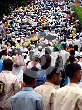 Warkari Crowds
