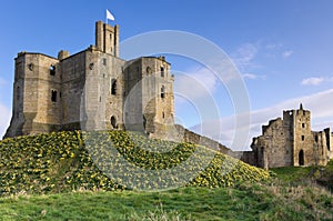 Warkworth Castle in spring photo