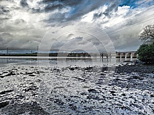 Warleigh Point Nature Reserve photo