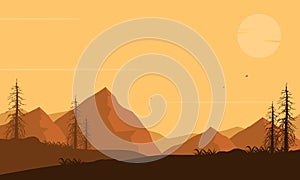 Warm afternoons in the countryside with stunning natural views at sunset. Vector illustration