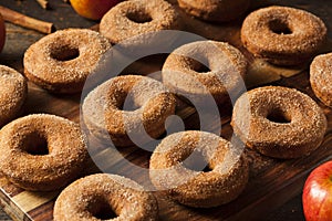 Warm Apple Cider Donuts