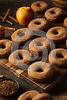 Warm Apple Cider Donuts
