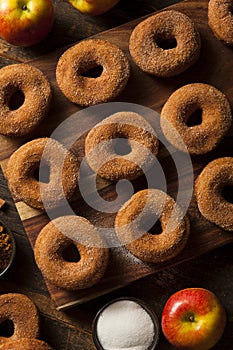 Warm Apple Cider Donuts