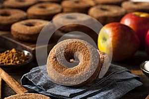 Warm Apple Cider Donuts